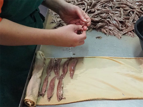 Anchovie processing