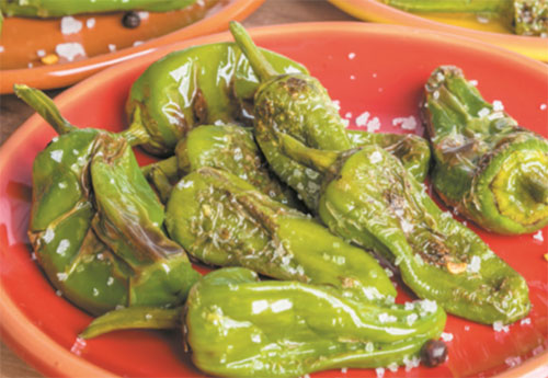 Pimentos Padron