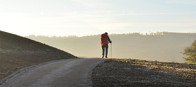 Camino de Santiago